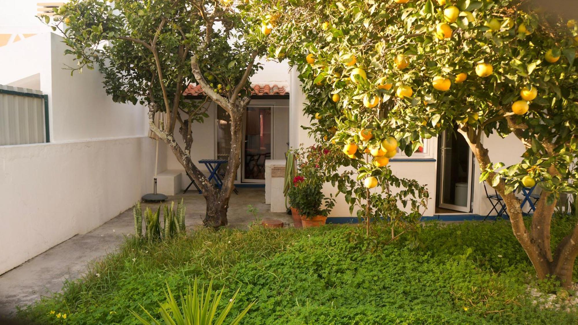 Lemon Tree House By Stay In Alentejo Vila Nova de Milfontes Esterno foto